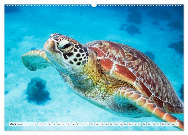 Produktbild: Philippinen - Land der Naturwunder (hochwertiger Premium Wandkalender 2026 DIN A2 quer), Kunstdruck in Hochglanz