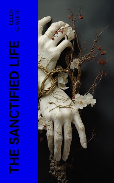 Produktbild: The Sanctified Life