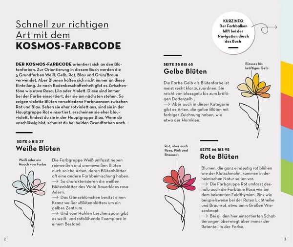 Produktbild: Basic Blumen