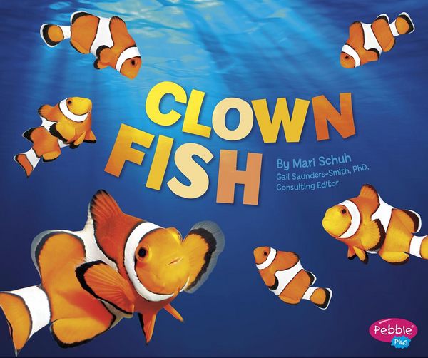 Produktbild: Clown Fish
