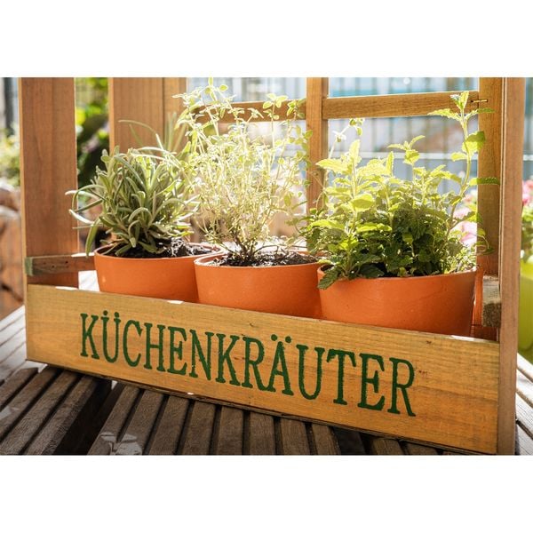 HTI-line Kräuterfenster Mina