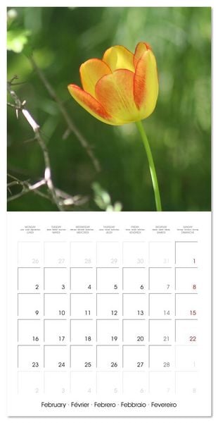 Produktbild: ENCHANTING FLOWERS (Wall Calendar 2026 12 &times; 12 Inch) CALVENDO 12 Month Wall Calendar
