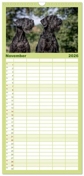 Produktbild: Familienplaner 2026 - Schnauzer... von Zwergen und Riesen 2026 mit 5 Spalten (Wandkalender, 21 x 45 cm) CALVENDO
