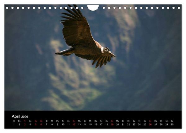 Produktbild: Machu Picchu - Peru (Wandkalender 2026 DIN A4 quer), CALVENDO Monatskalender