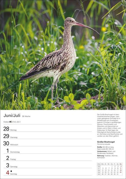 Produktbild: Heimische V&ouml;gel Wochenplaner 2027 - 53 faszinierende Fotografien
