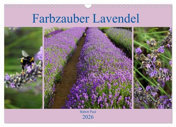 Produktbild: Farbzauber Lavendel (Wandkalender 2026 DIN A3 quer), CALVENDO Monatskalender