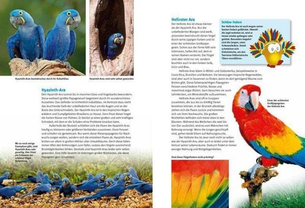 Produktbild: Entdecke die Papageien