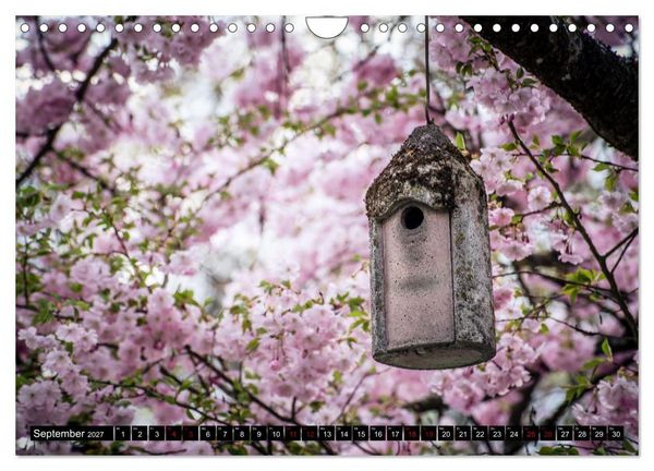 Produktbild: Fr&uuml;hlingsbl&uuml;her - Farbenpracht nach dem Winter (Wandkalender 2027 DIN A4 quer), CALVENDO Monatskalender