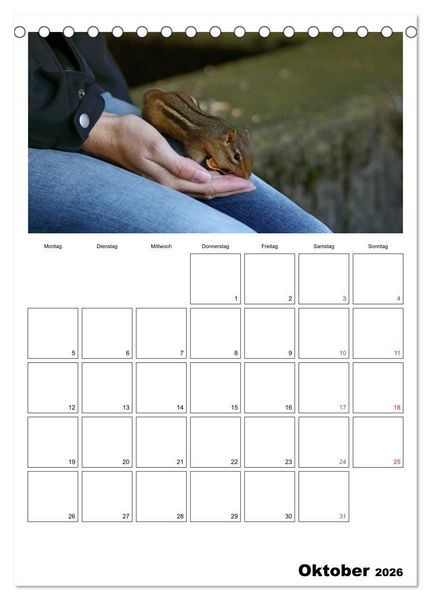 Produktbild: Streifenh&ouml;rnchen - neugierige Nager (Tischkalender 2026 DIN A5 hoch), CALVENDO Monatskalender