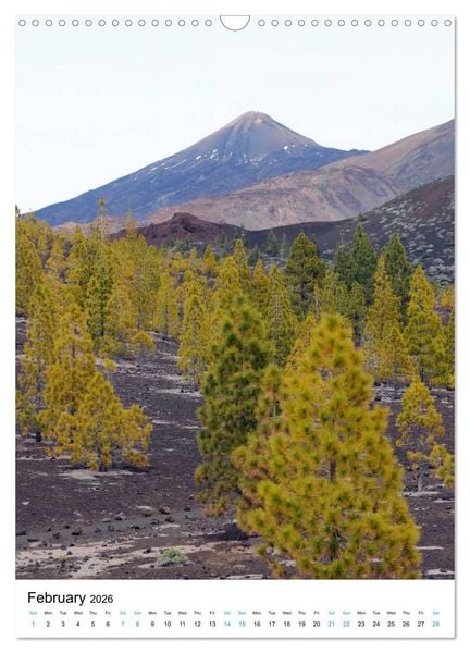 Produktbild: Tenerife - The volcanic island (Wall Calendar 2026 DIN A3 portrait), CALVENDO 12 Month Wall Calendar