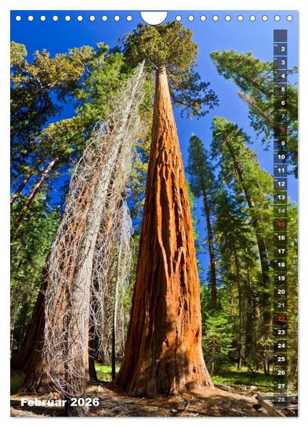 Produktbild: YOSEMITE VALLEY Natur Pur (Wandkalender 2026 DIN A4 hoch), CALVENDO Monatskalender