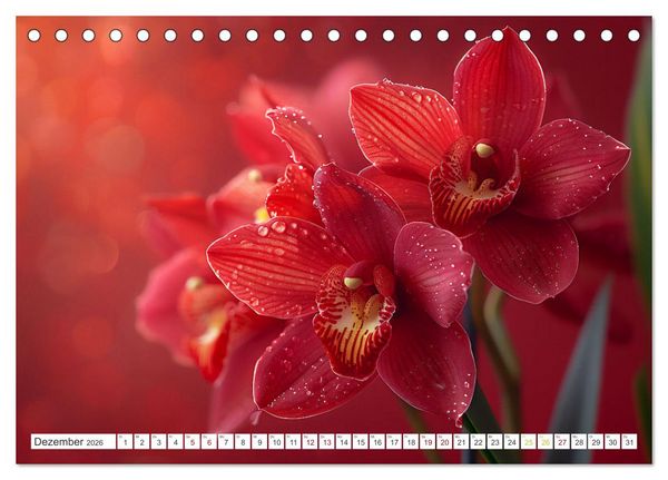 Produktbild: Orchideen - farbenfroh durchs Jahr (Tischkalender 2026 DIN A5 quer), CALVENDO Monatskalender