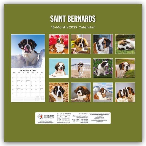 Produktbild: Saint Bernards &ndash; Bernhardiner 2027 &ndash; 16-Monatskalender