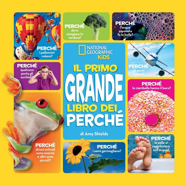 Produktbild: Il primo grande libro dei perch&eacute;