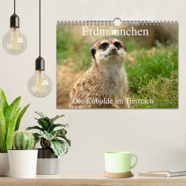 Produktbild: Erdm&auml;nnchen - Die Kobolde im Tierreich (Wandkalender 2026 DIN A4 quer), CALVENDO Monatskalender
