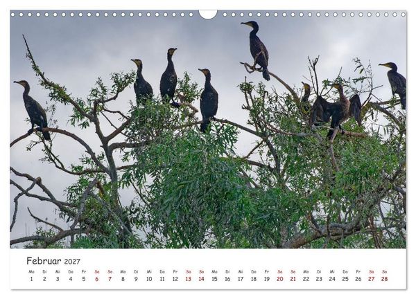 Produktbild: Donau-Delta (Wandkalender 2027 DIN A3 quer), CALVENDO Monatskalender