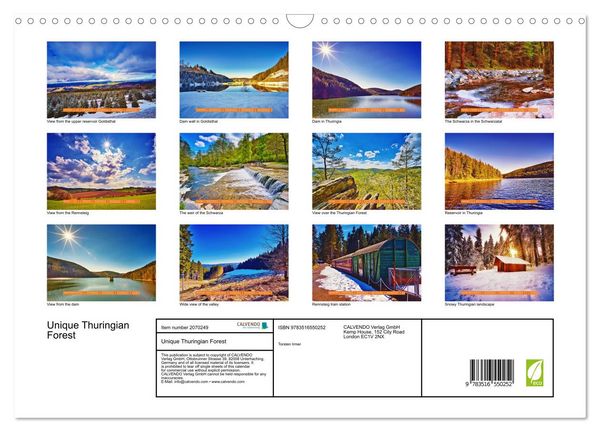 Produktbild: Unique Thuringian Forest (Wall Calendar 2026 DIN A3 landscape), CALVENDO 12 Month Wall Calendar