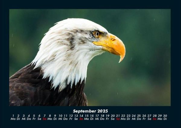 Produktbild: Adler 2025 Fotokalender DIN A4