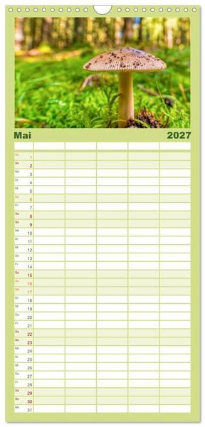Produktbild: Familienplaner 2027 - Vielfalt am Waldboden mit 5 Spalten (Wandkalender, 21 x 45 cm) CALVENDO