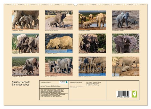 Produktbild: Afrikas Tierwelt: Elefantenbabys (hochwertiger Premium Wandkalender 2026 DIN A2 quer), Kunstdruck in Hochglanz