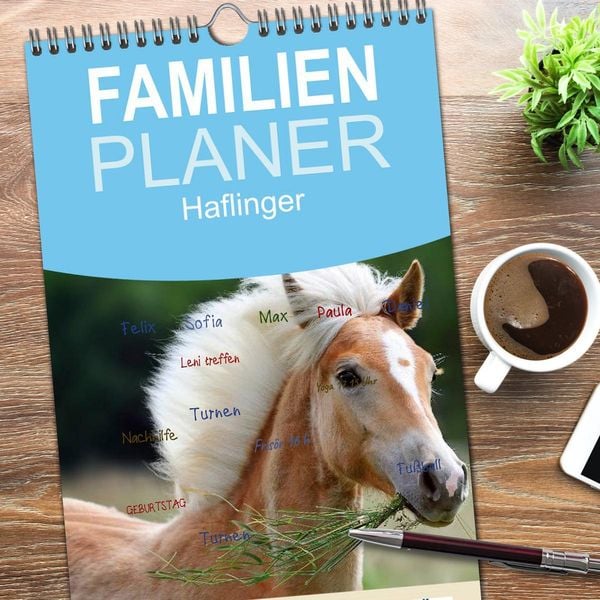 Produktbild: Familienplaner 2026 - Haflinger mit 5 Spalten (Wandkalender, 21 x 45 cm) CALVENDO