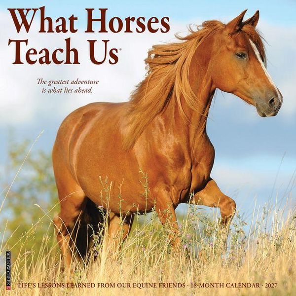 Produktbild: What Horses Teach Us 2027 12 X 12 Wall Calendar