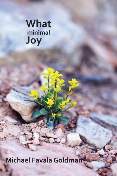 Produktbild: What Minimal Joy