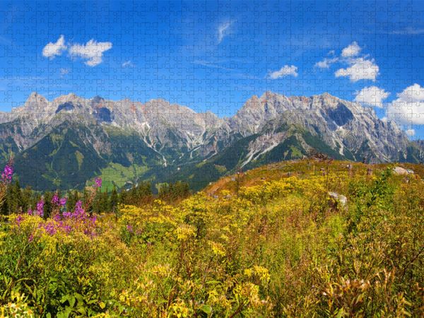 Produktbild: CALVENDO Puzzle Sch&ouml;ne Blumenwiese auf der Steinbockalm | 2000 Teile Lege-Gr&ouml;&szlig;e 90x67cm Foto-Puzzle f&uuml;r gl&uuml;ckliche Stunden