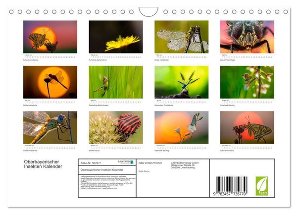 Produktbild: Oberbayerischer Insekten Kalender (Wandkalender 2026 DIN A4 quer), CALVENDO Monatskalender