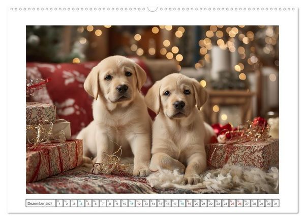 Produktbild: Labrador Liebe (Wandkalender 2027 DIN A2 quer), CALVENDO Monatskalender