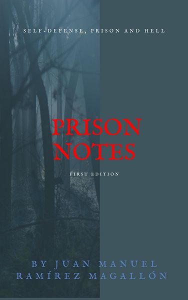 Produktbild: Prison Notes