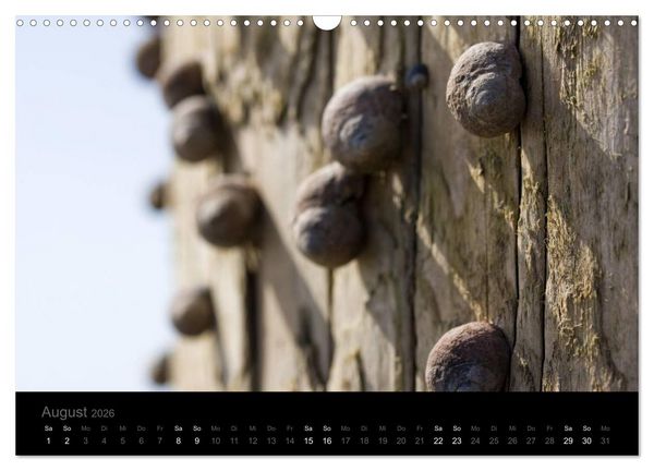 Produktbild: Natur im Detail (Wandkalender 2026 DIN A3 quer), CALVENDO Monatskalender