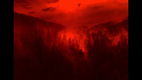 Produktbild: Eo (OmU)