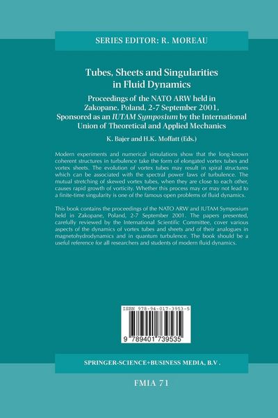 Produktbild: Tubes, Sheets and Singularities in Fluid Dynamics
