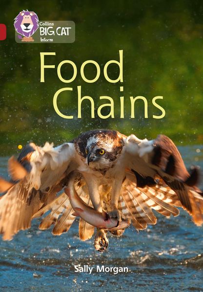 Produktbild: Big Cat-Food Chains