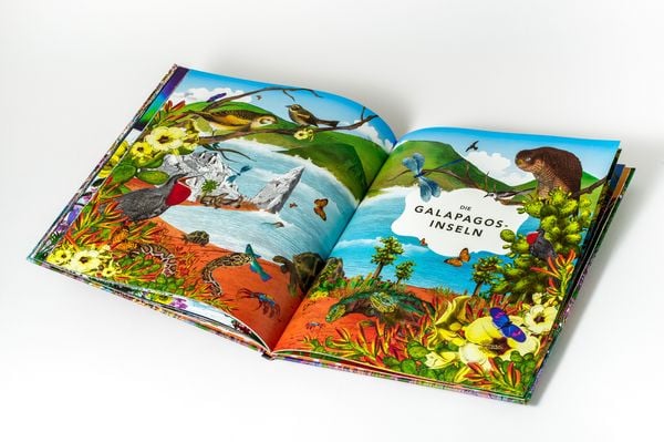 Produktbild: Die unglaubliche Safari