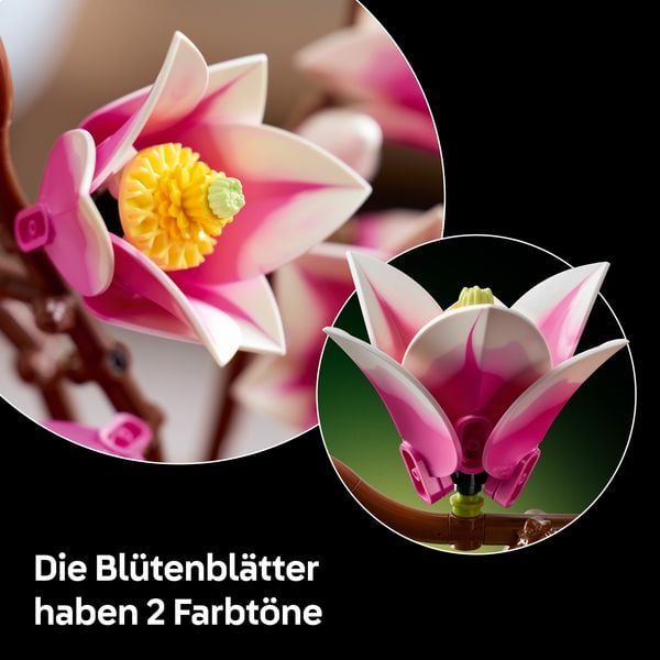 Produktbild: LEGO Botanicals 11510 Magnolienzweige, Deko Kunstpflanze zum Bauen