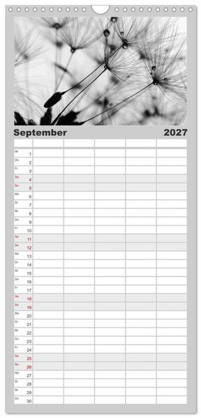 Produktbild: Familienplaner 2027 - Pusteblume - Impressionen in schwarzwei&szlig; mit 5 Spalten (Wandkalender, 21 x 45 cm) CALVENDO