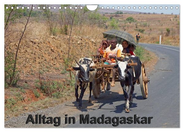 Produktbild: Alltag in Madagaskar (Wandkalender 2026 DIN A4 quer), CALVENDO Monatskalender
