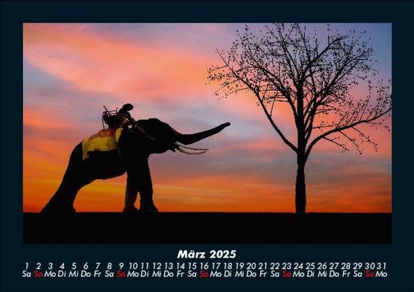 Produktbild: Der Elefantenkalender 2025 Fotokalender DIN A5