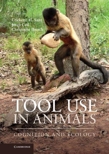 Produktbild: Tool Use in Animals