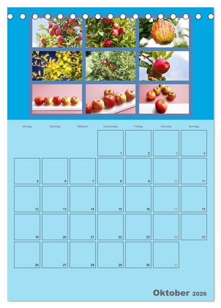 Produktbild: Food (Tischkalender 2026 DIN A5 hoch), CALVENDO Monatskalender