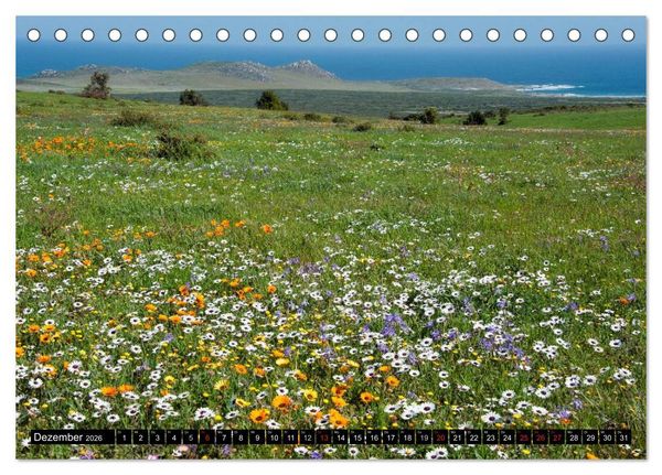 Produktbild: S&uuml;dafrika (Tischkalender 2026 DIN A5 quer), CALVENDO Monatskalender
