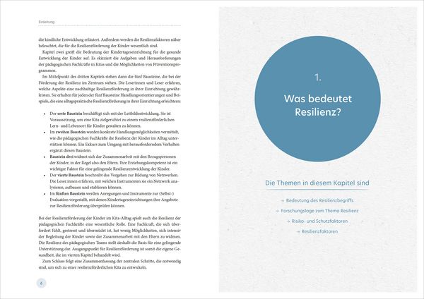 Produktbild: Resilienz im Kita-Alltag