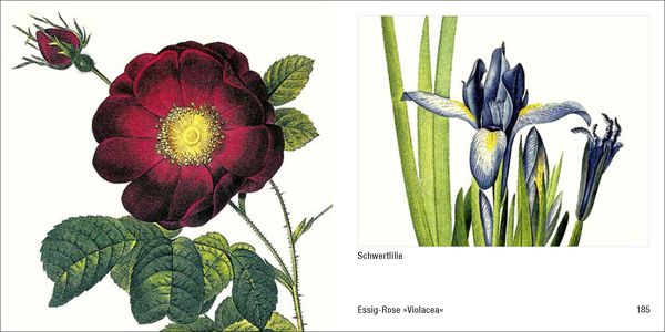 Produktbild: Historische Blumenbilder &ndash; Book To Go