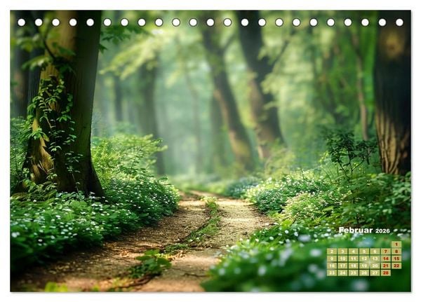 Produktbild: Neue Wege erkunden (Tischkalender 2026 DIN A5 quer), CALVENDO Monatskalender