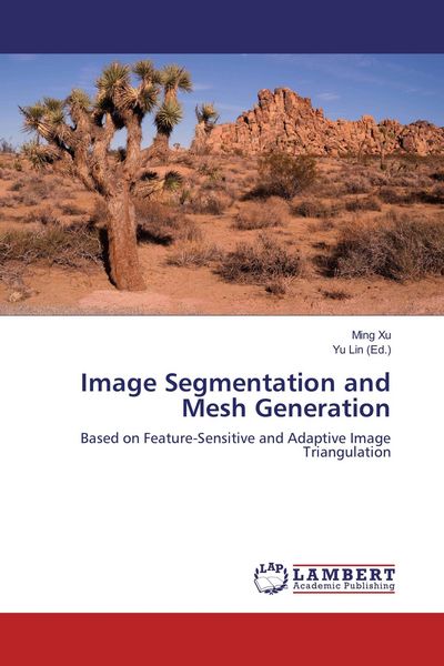 Produktbild: Image Segmentation and Mesh Generation