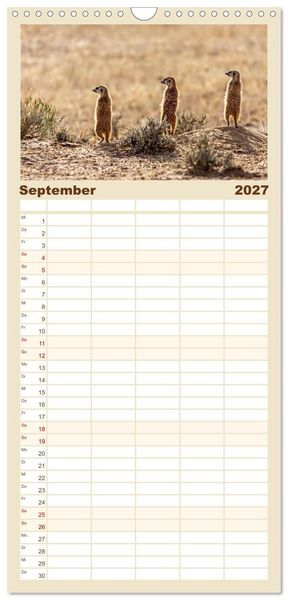 Produktbild: Familienplaner 2027 - Namibias faszinierende Tierwelt mit 5 Spalten (Wandkalender, 21 x 45 cm) CALVENDO
