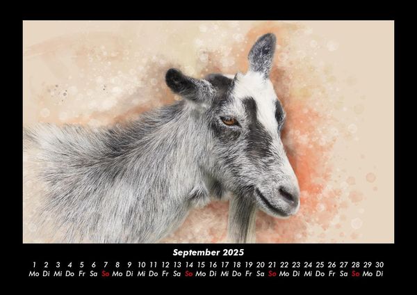 Produktbild: Kunstkalender 2025 Fotokalender DIN A3