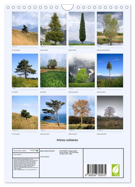 Produktbild: Arbres solitaires (Calendrier mural 2026 DIN A4 horizontal), CALVENDO calendrier mensuel